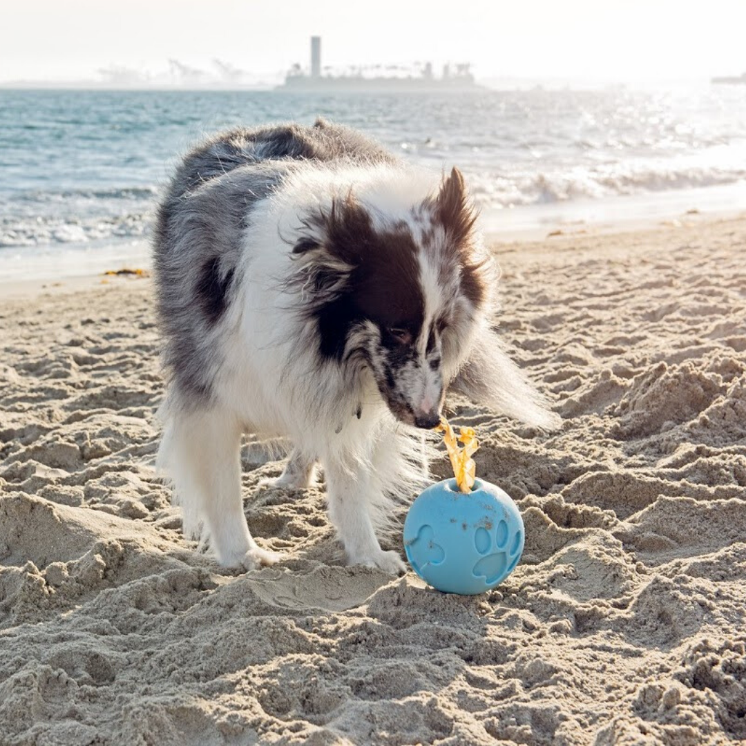 enriching treat ball