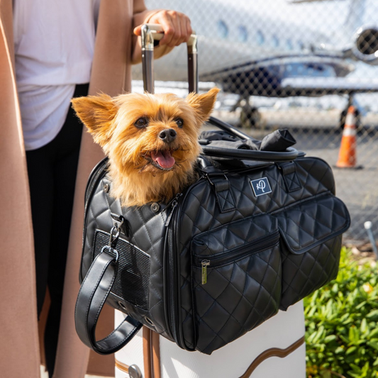 yorkie travel Petique lux pet carrier
