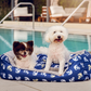 Comfy Reversible Pet Bed