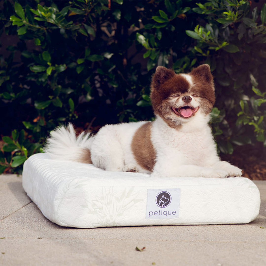 Happy Dog Comfortable Pet Bed