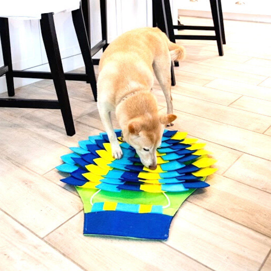 The Best Snuffle Mat For Dogs - Dog Treat Hiding Mat