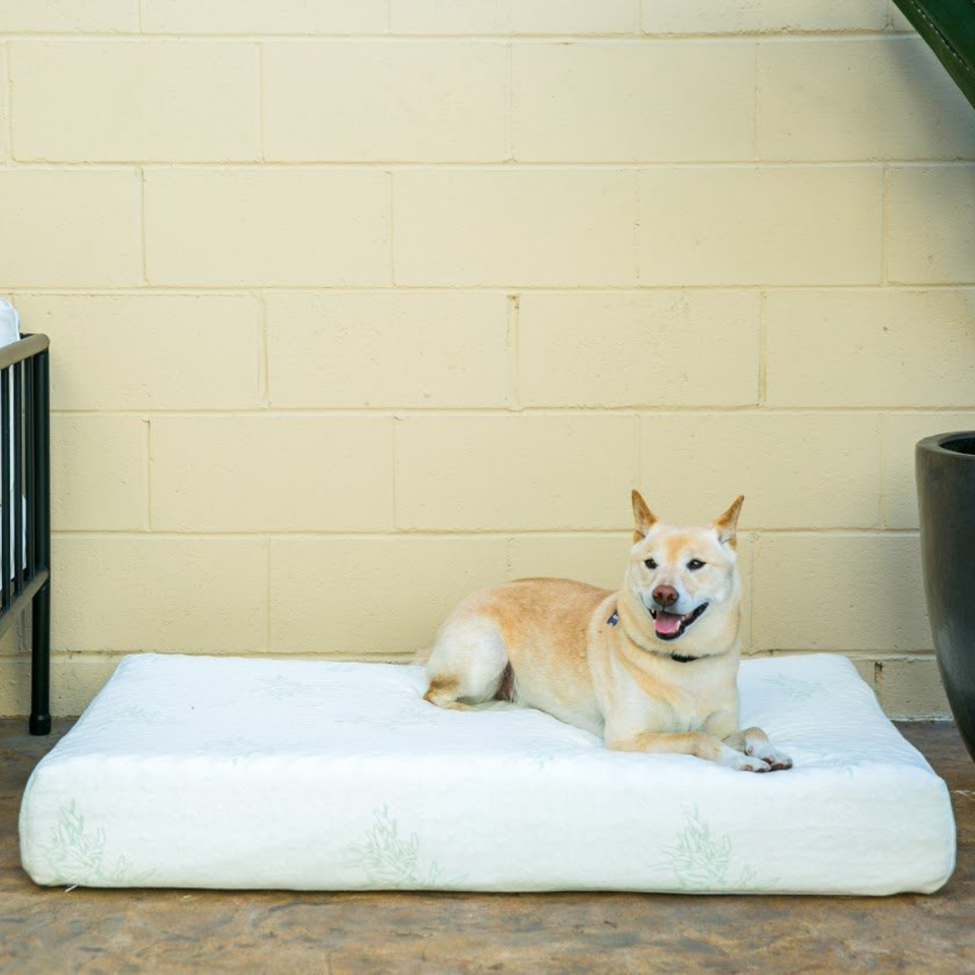 Large/XL Pet Bed