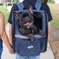 Backpacking Bundle - Backpacker Pet Carrier and MORE!
