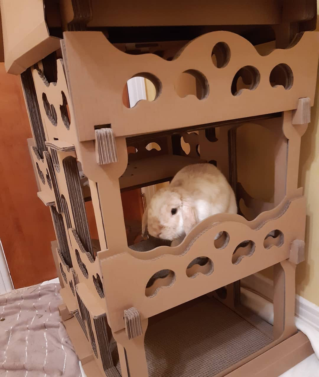 cat house for bunnies