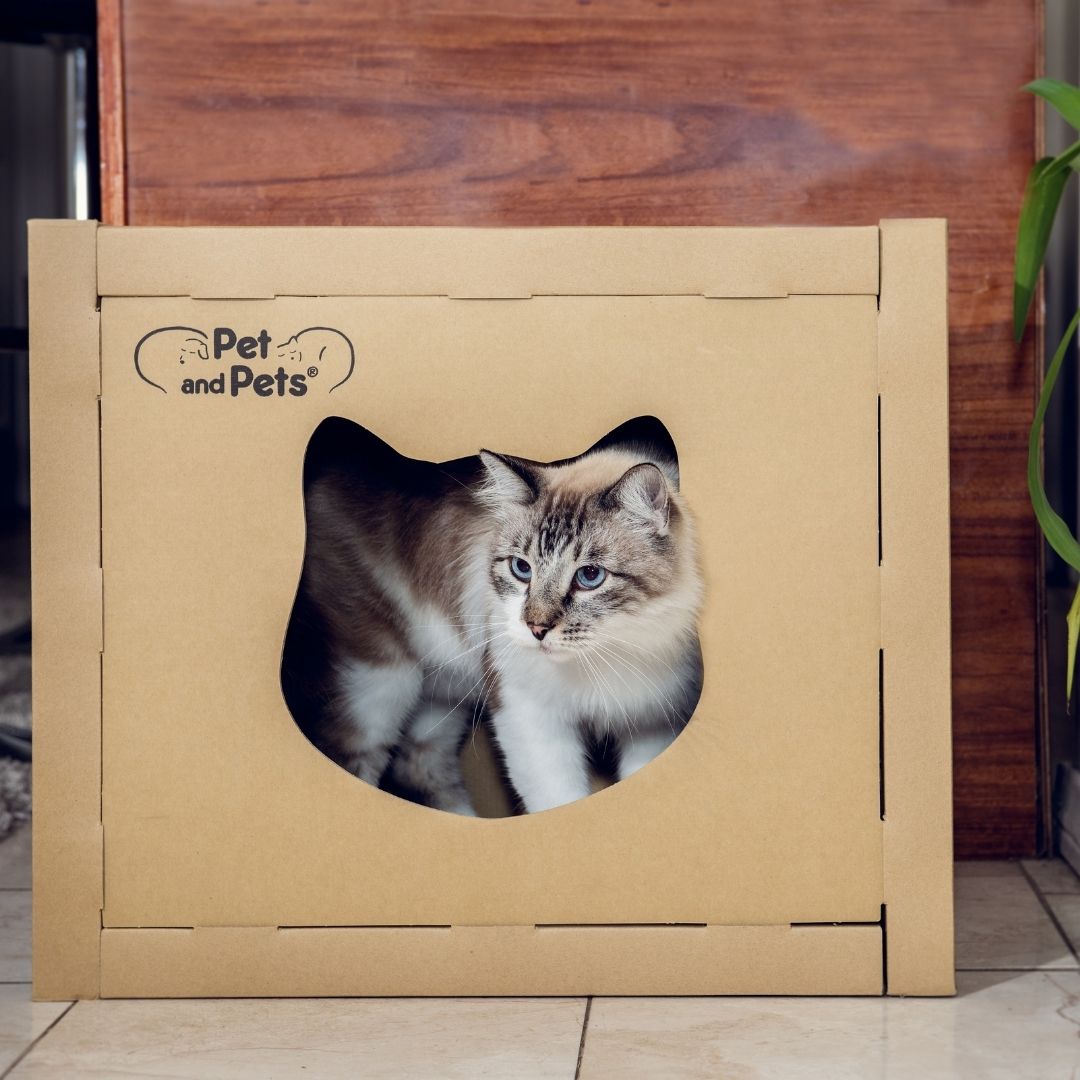 sustainable petique cat house