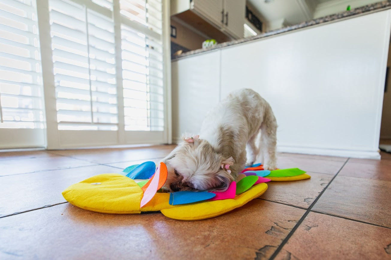 Snuffle Mat Puzzle Pad - Fish