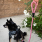Trail Mix Bundle - All Terrain Pet Jogger and MORE!