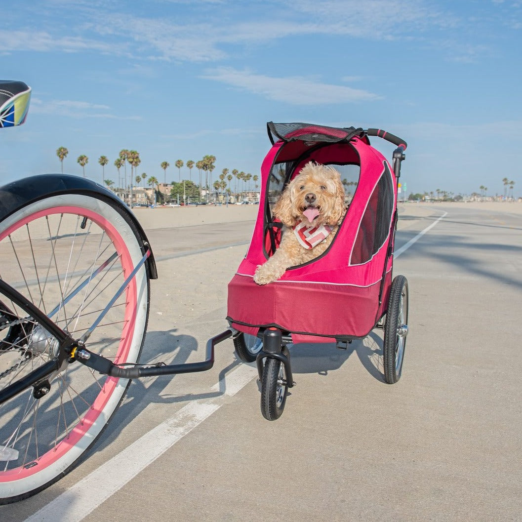 blazin' berry all terrain pet jogger bike ride