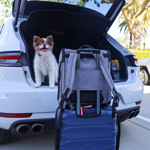 The Backpacker Pet Carrier for Small Dogs/Cats/Pets, Storage Pocket, Luggage Handle Slit, Leash Inside, Adjustable Straps, Reversible Mat, 3 Entryways, Folds Flat, Reflective Strip