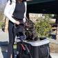 cute dog in pet stroller
