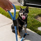 Blaze That Trail Bundle - Trailblazer Pet Jogger and MORE!