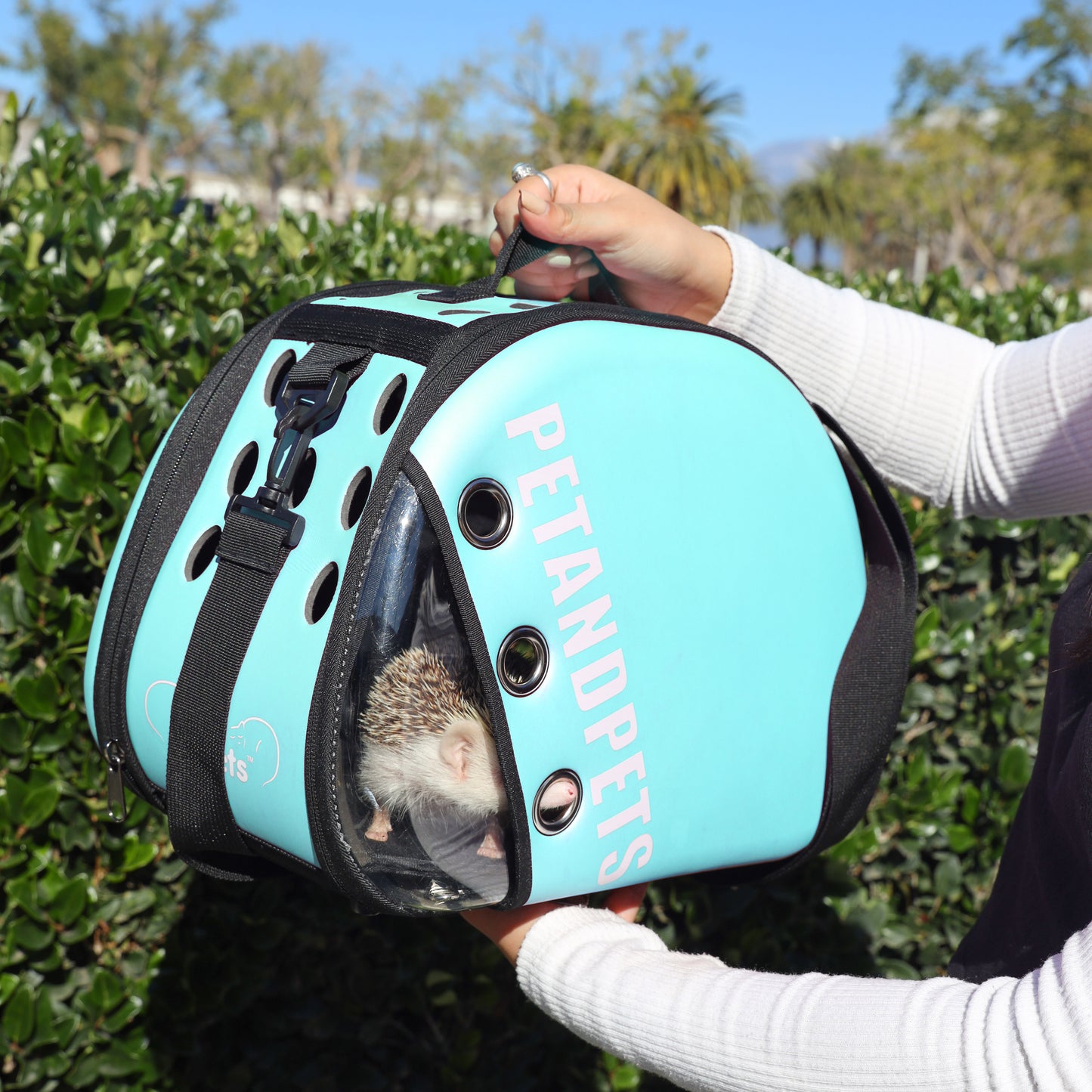 Delectable Bundle - Macaron Pet Carrier and MORE!