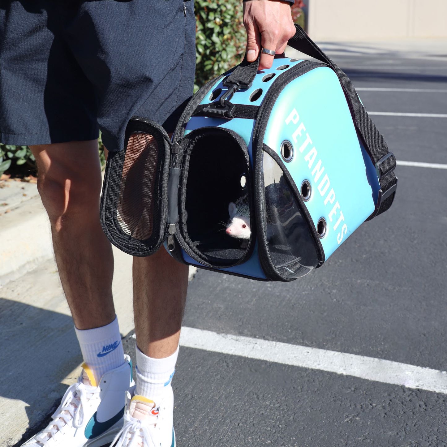 Delectable Bundle - Macaron Pet Carrier and MORE!