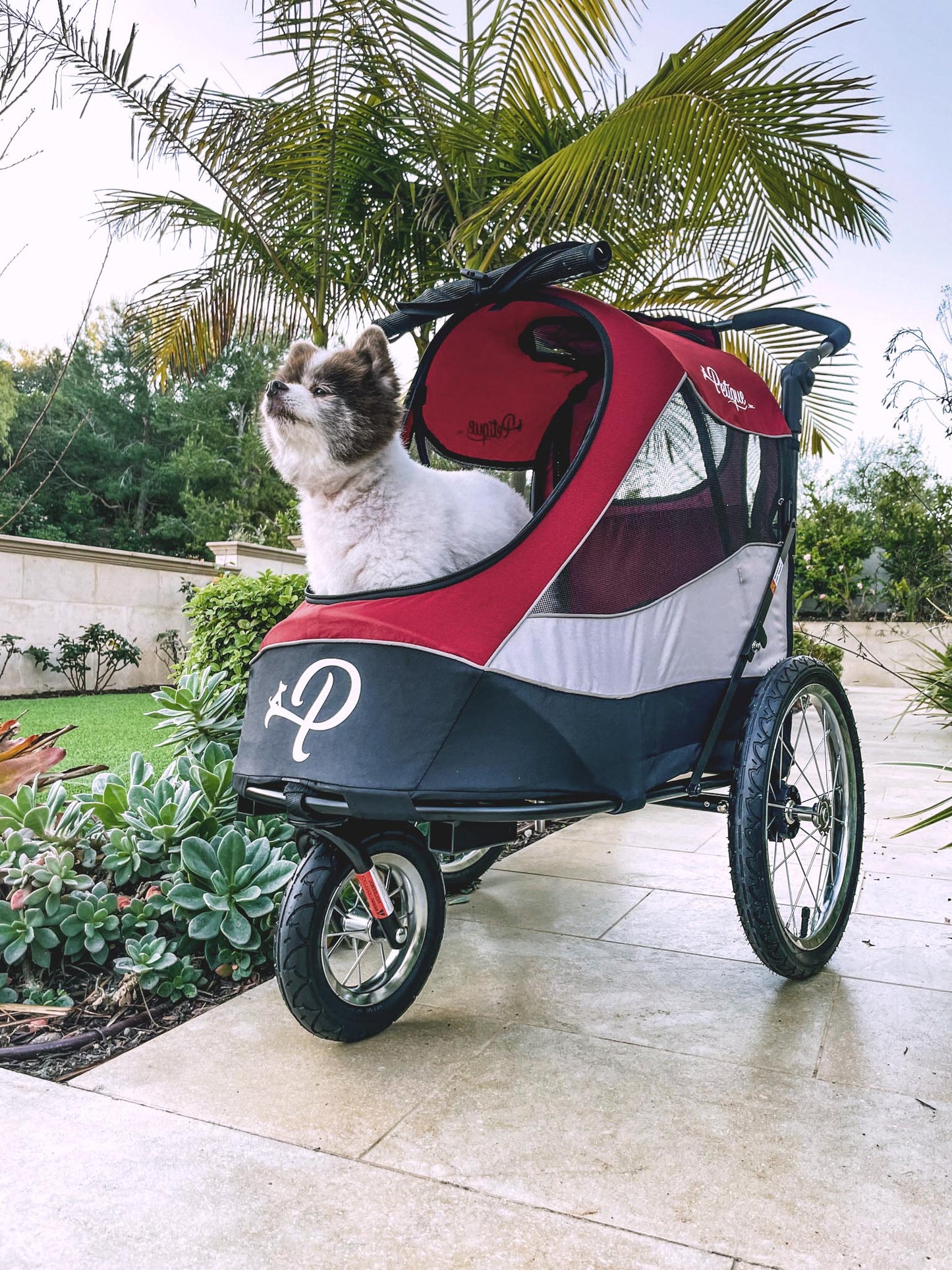 Blaze That Trail Bundle - Trailblazer Pet Jogger and MORE!