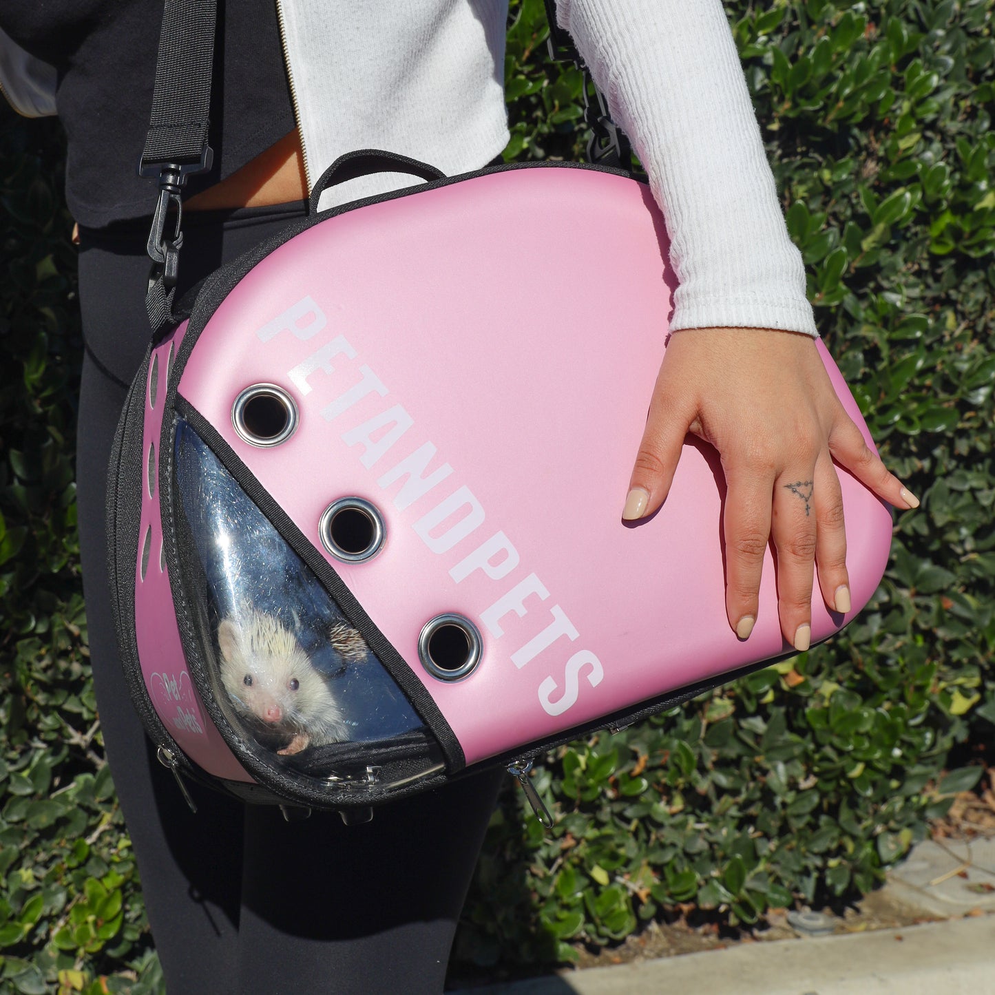 Delectable Bundle - Macaron Pet Carrier and MORE!