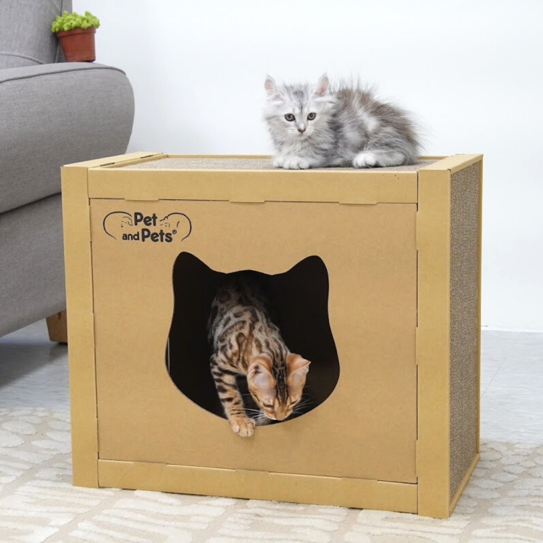 SOLD OUT The Box Eco Pet House by Pet and Pets