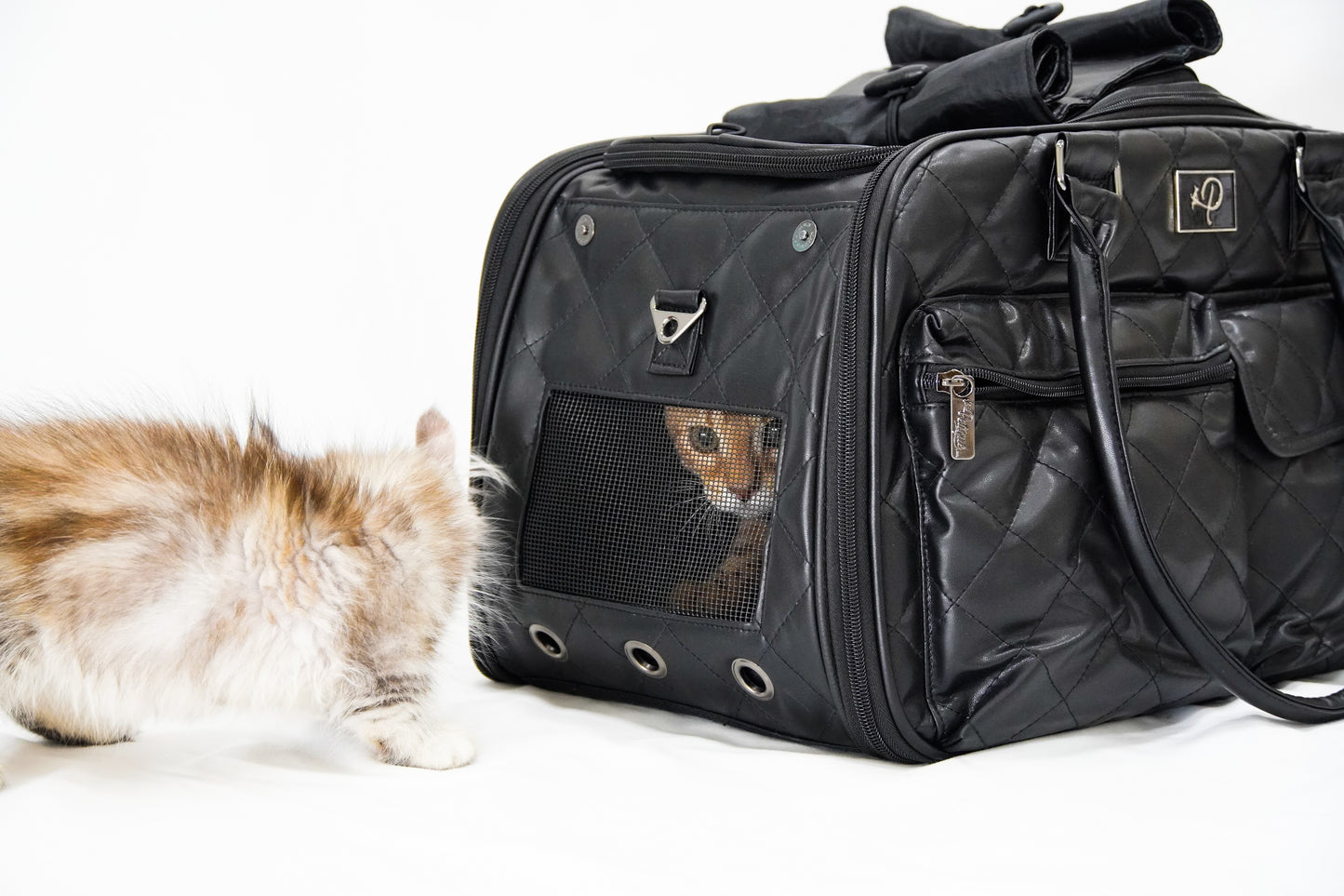 cat-friendly pet carrier