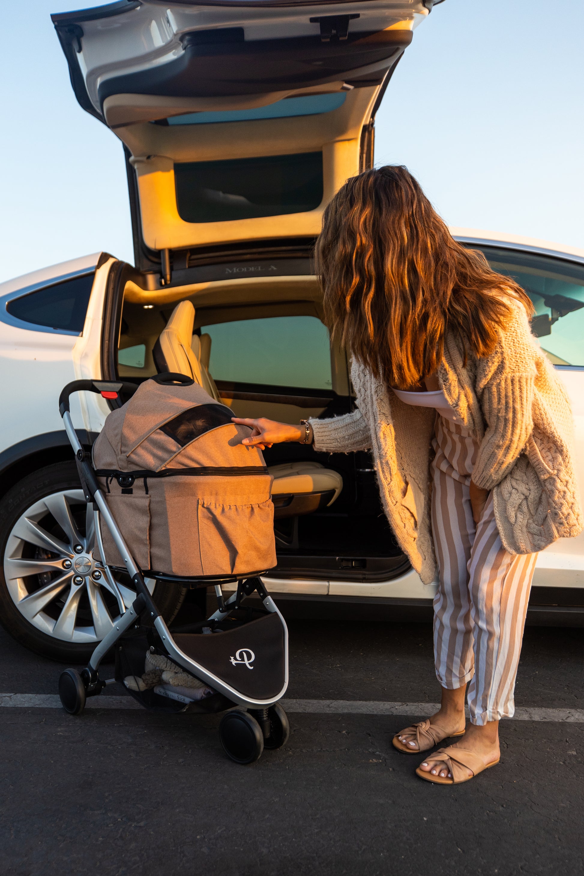 petique pet stroller brown dog mom