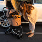 yorkie dog in desert rose pet stroller