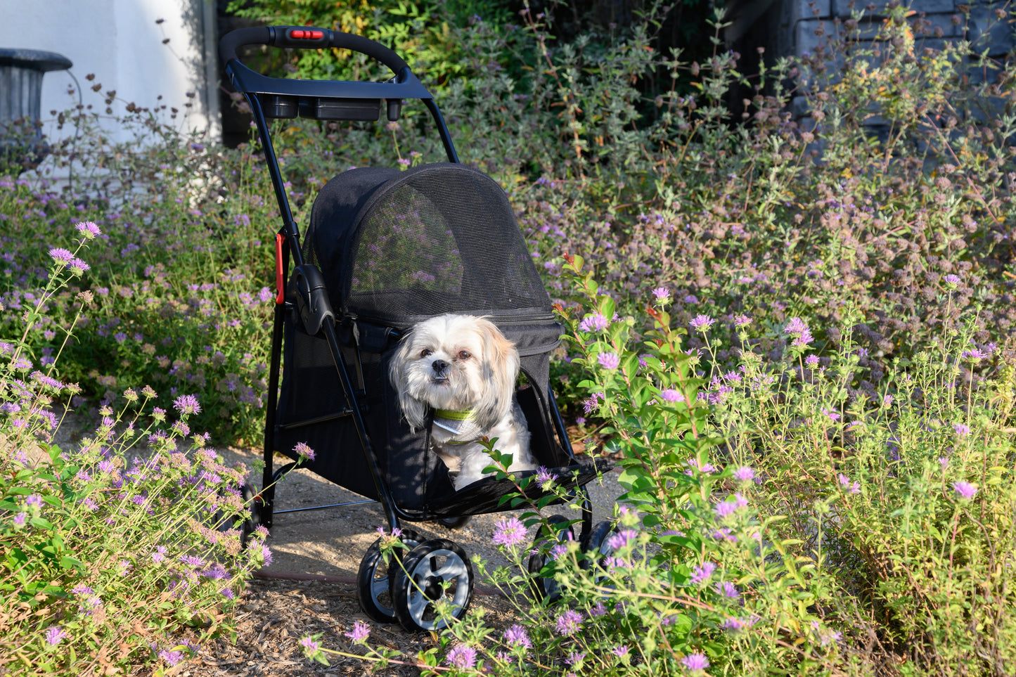 Simplicity Pet Stroller: Lightweight & Durable, One-Hand Fold, Safety Brakes, Mesh Ventilation, Front Entry, Cup Holder, 2 Leashes, Ideal for Small Pets, Seniors, Injured, Anxiety Relief, Travel & Outdoor Adventures, Supports Up to 45lbs