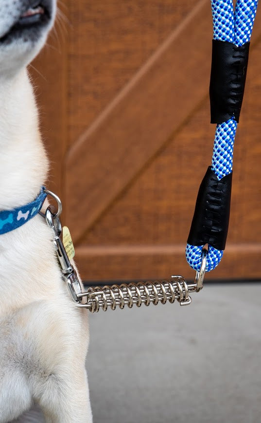 Blue Tug Control Leash