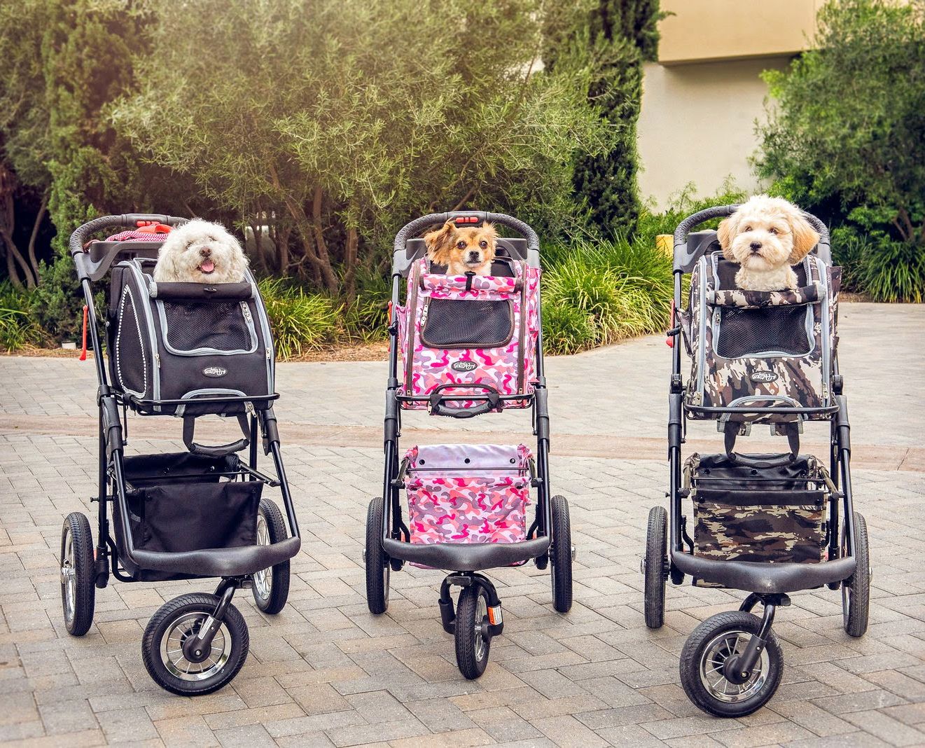 pet stroller outdoors