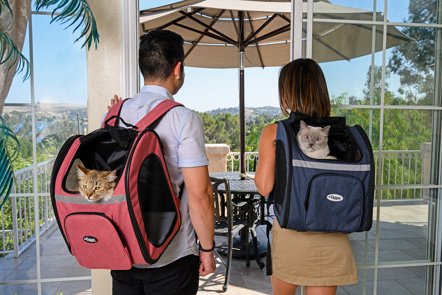backpack pet carrier cats