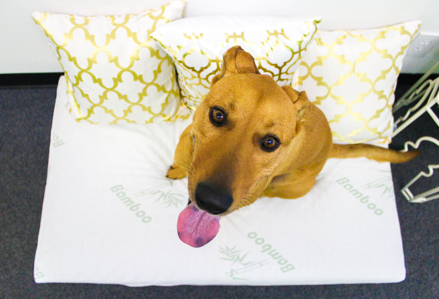 Bamboo Memory Foam Pet Bed