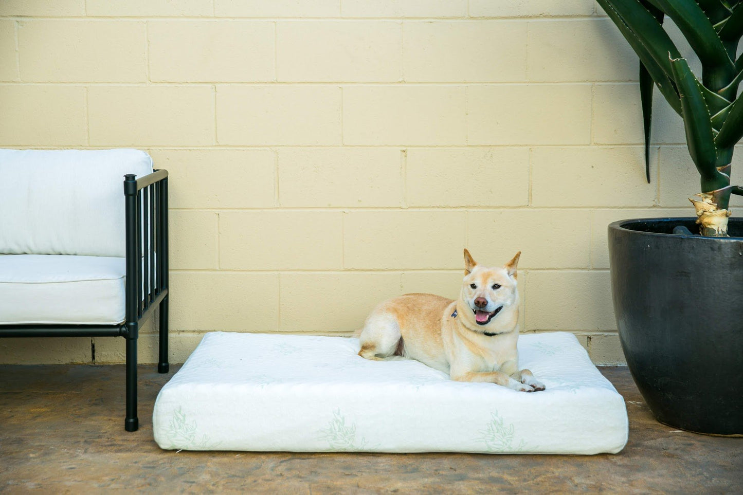 Lifestyle Pet Bed 