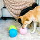 Keeps your pets busy while you work