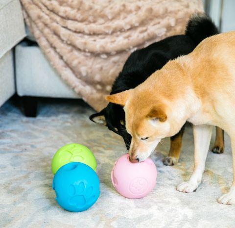 Keeps your pets busy while you work