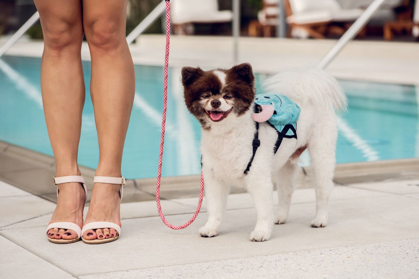 Small Pink Leash