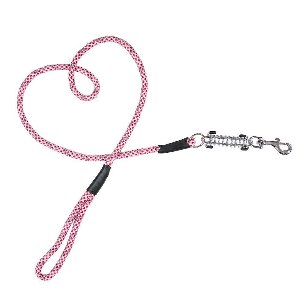 Petique Pink Leash
