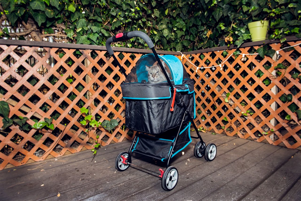 swift pet stroller for cats and dogs