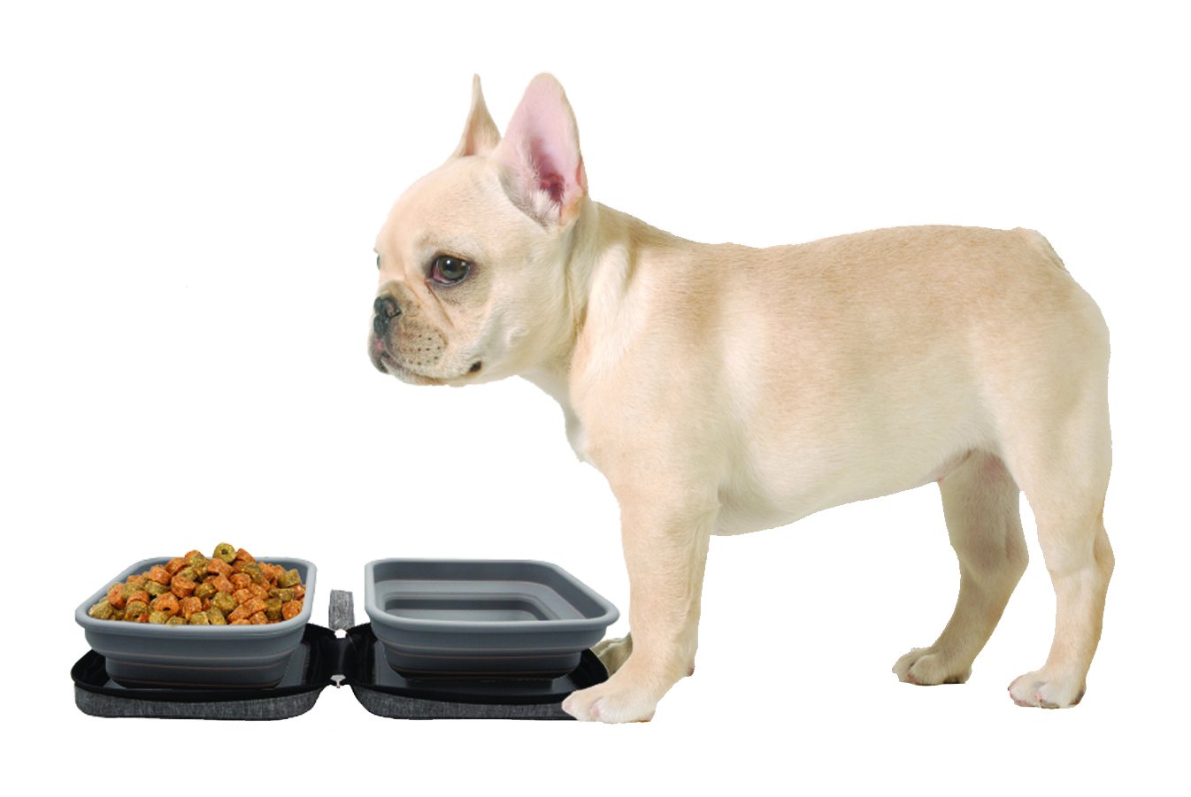 https://www.petique.com/cdn/shop/products/petique-water-food-portabowl-bowl-dog-travel-gray-portable-frenchie.jpg?v=1671234215&width=1445