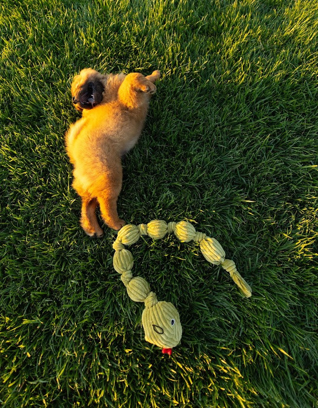 Tough Ball Python Dog Toy