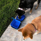 Backpacking Bundle - Backpacker Pet Carrier and MORE!
