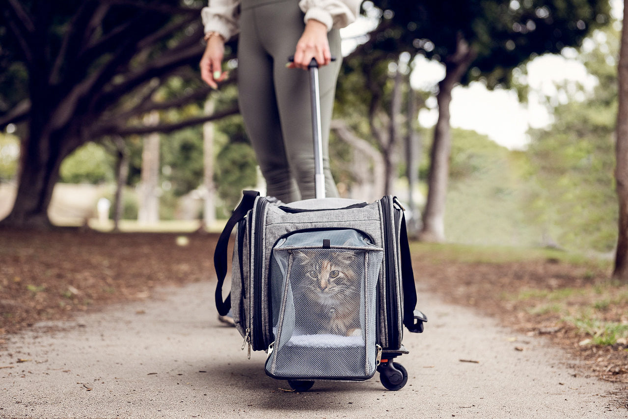 Happiest Camper Bundle - Happy Camper Pet Carrier and MORE!