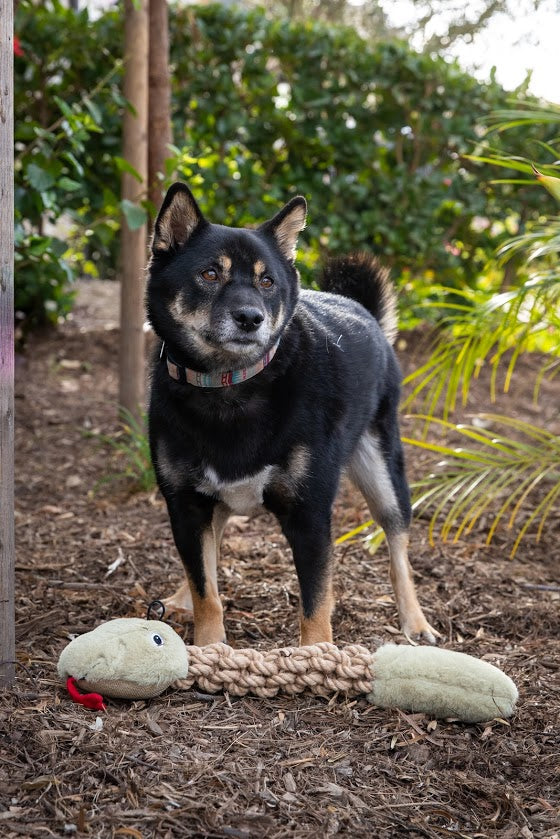 Indestructible dog outlet toys snake