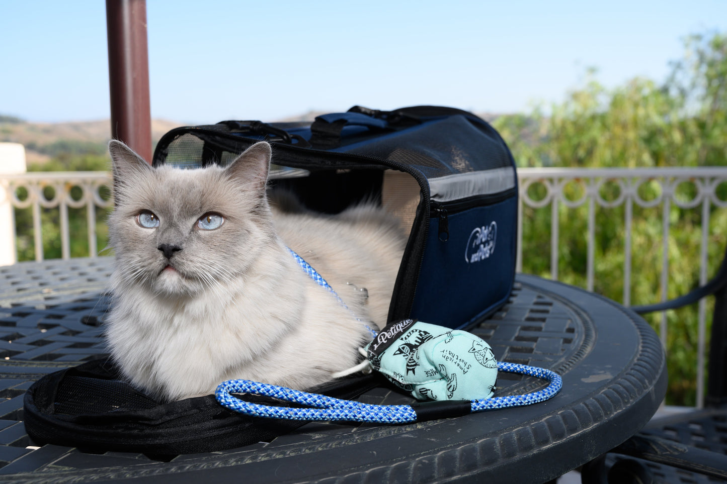 Elektric Blue Leash