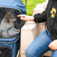 safe pet stroller puppy