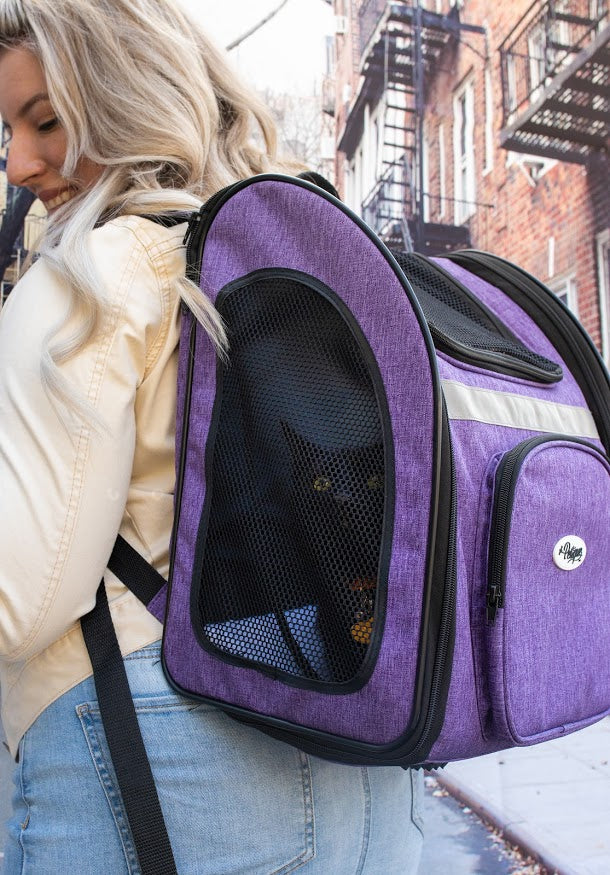 black cat purple pet carrier