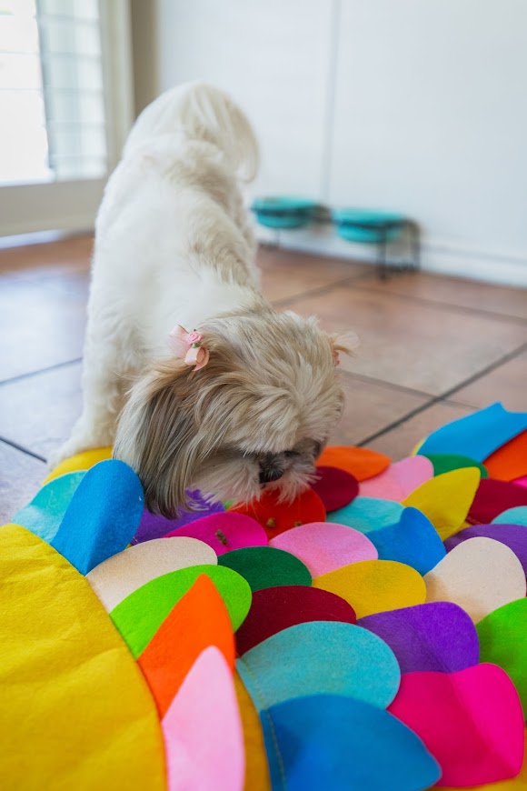 The Snuffle Mat - Food Puzzles for Cats