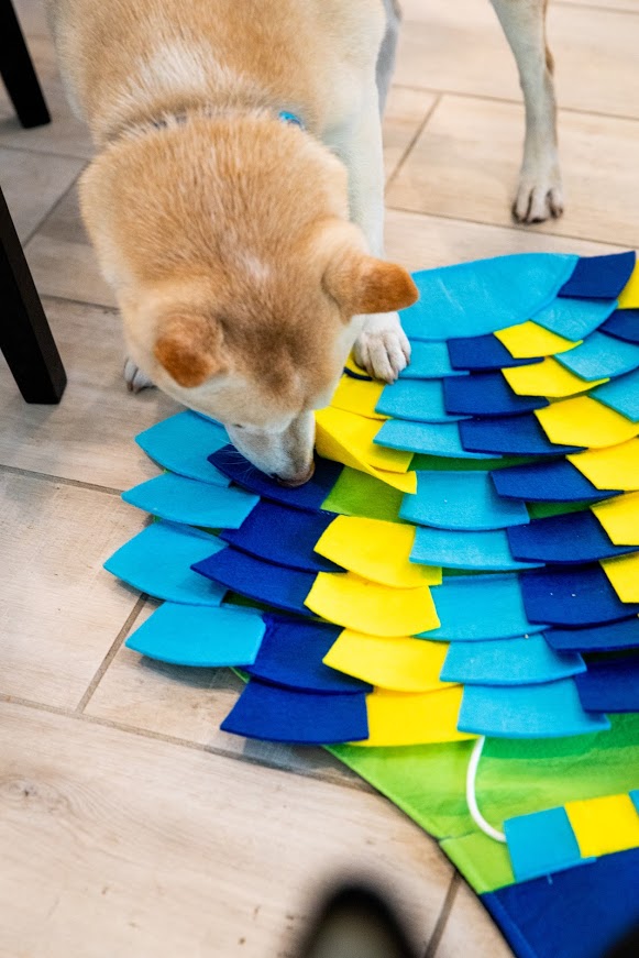 Buy PET ARENA Adjustable Snuffle mat for Dogs, Cats - Dog Puzzle