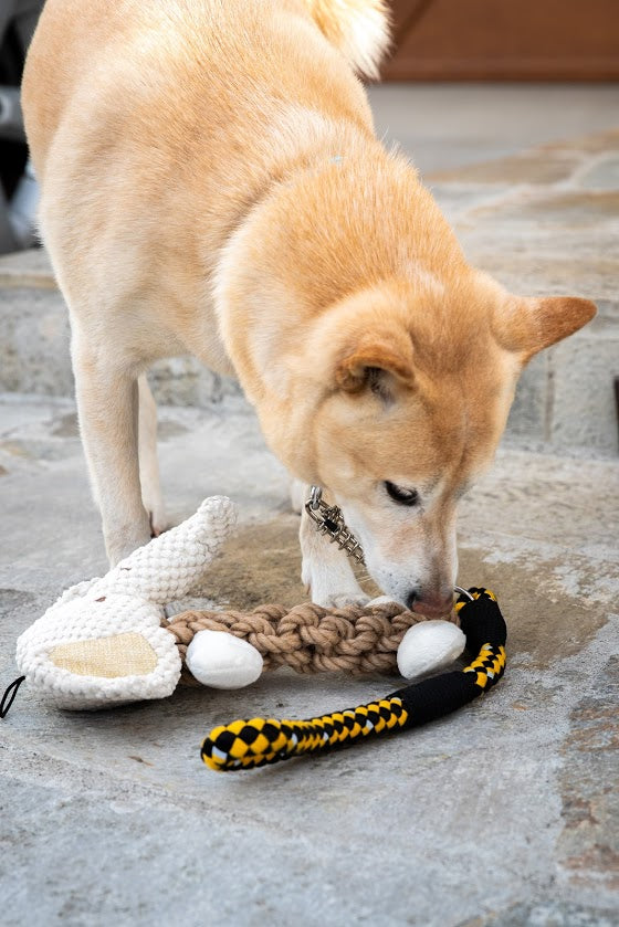 tough hemp pet toy 