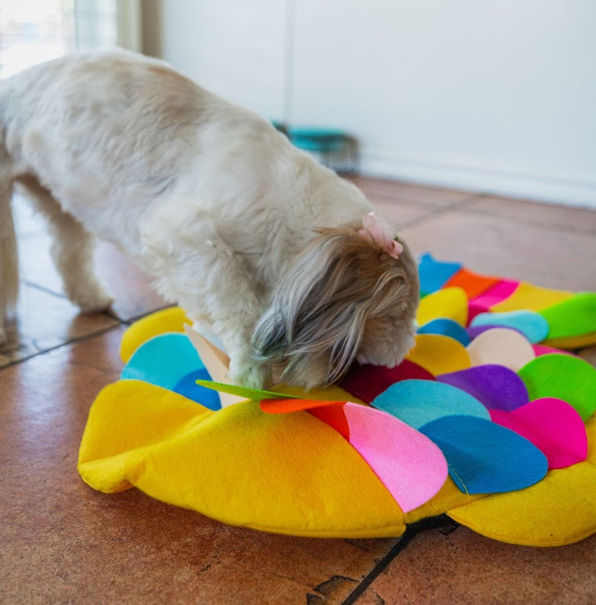 Petique Snuffle Mat Puzzle Pad Hedgehog for Dogs, 3X-Large