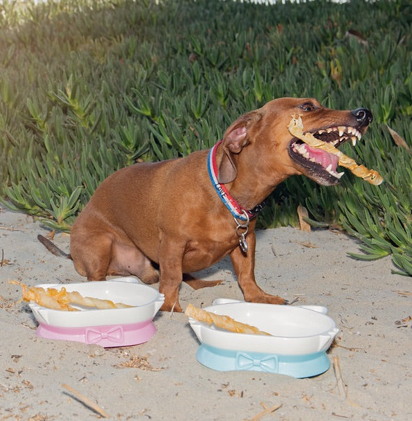 Turkey Tendon 4 oz Nutritious Pet Treats - customized